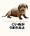 こいぬがうまれるよ