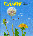 たんぽぽ