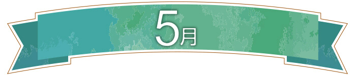 5月