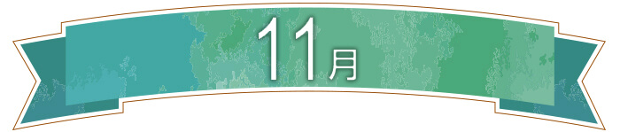 11月