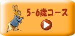 �G�{�̒���w�ǃT�[�r�X5-6�΃R�[�X